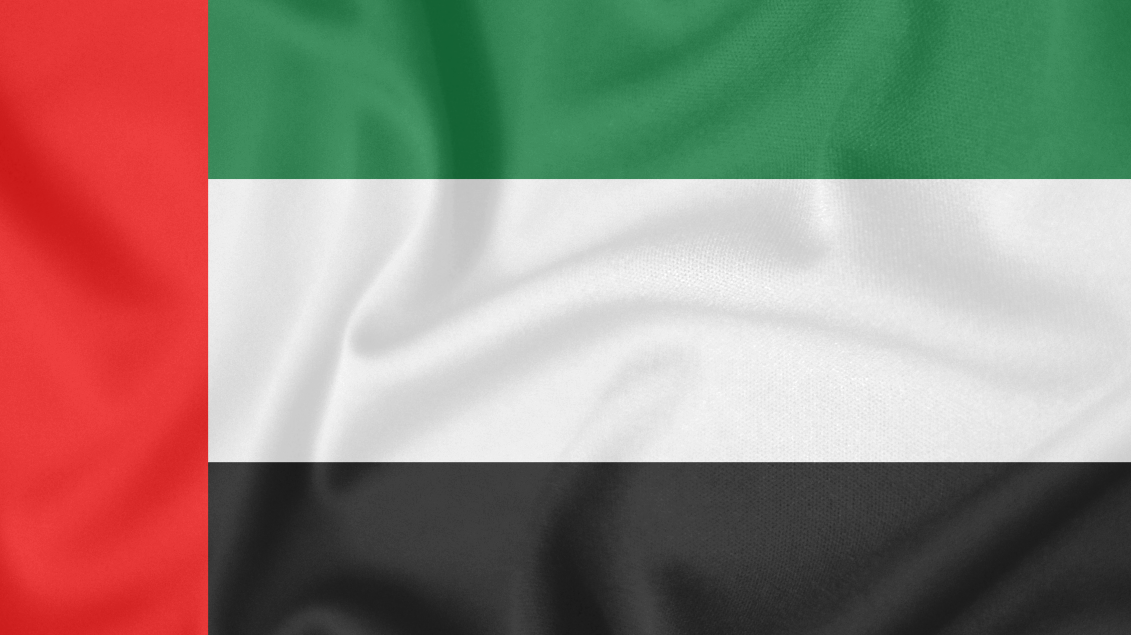 UAE flag waving proudly with Sheikh Mohammed bin Rashid Al Maktoum quote about national unity and pride, Tas-heel Center Flag Day 2026 celebration